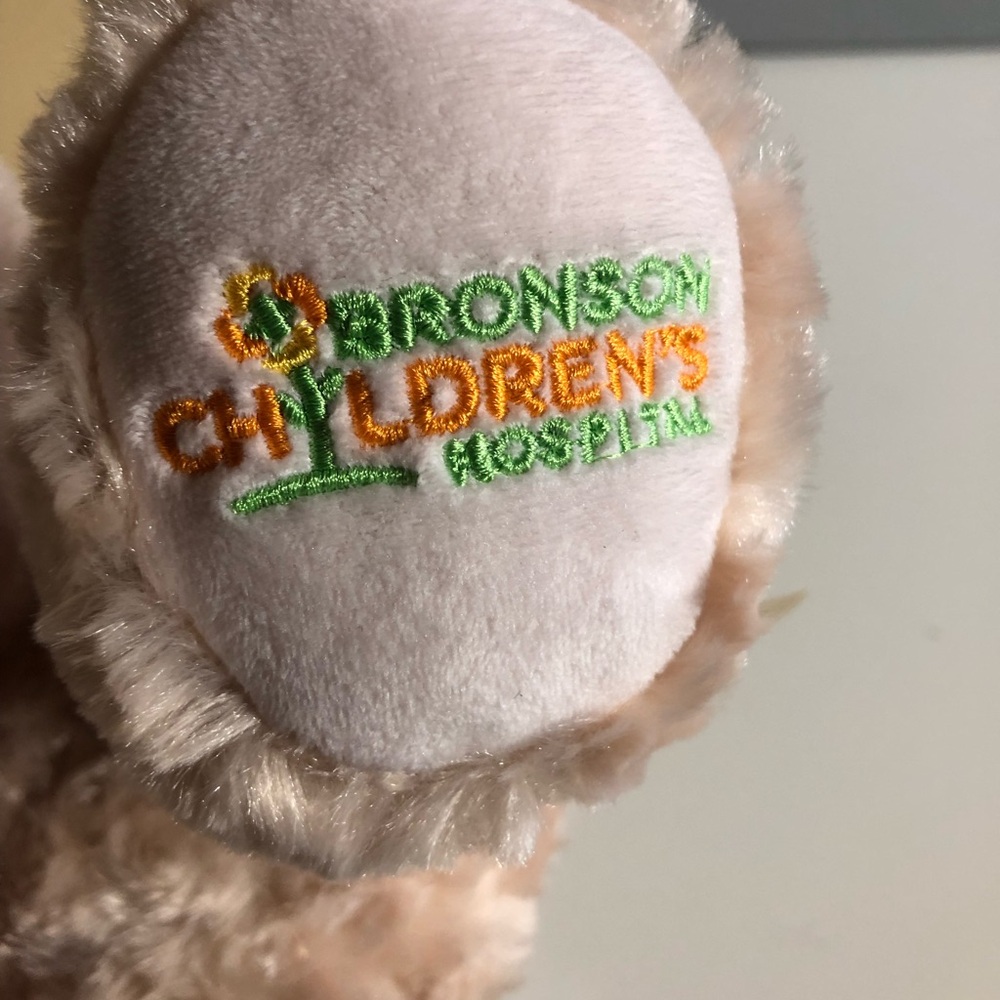 Build A Bear Bronson Children’s Hospital  Bear - Picture 4 of 5